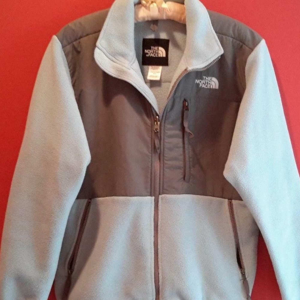 The North Face Light Blue and Gray Fleece Jacket